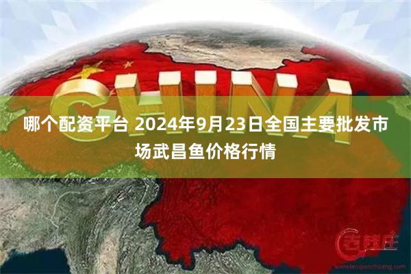 哪个配资平台 2024年9月23日全国主要批发市场武昌鱼价格行情