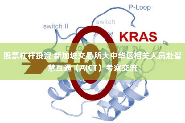 股票杠杆投资 新加坡交易所大中华区相关人员赴智慧互通（AICT）考察交流