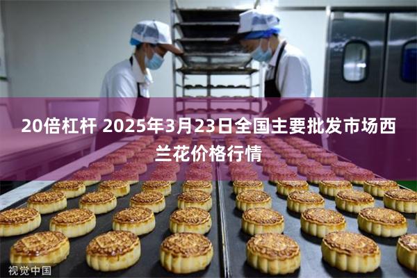 20倍杠杆 2025年3月23日全国主要批发市场西兰花价格行情