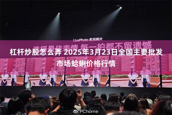 杠杆炒股怎么弄 2025年3月23日全国主要批发市场蛤蜊价格行情