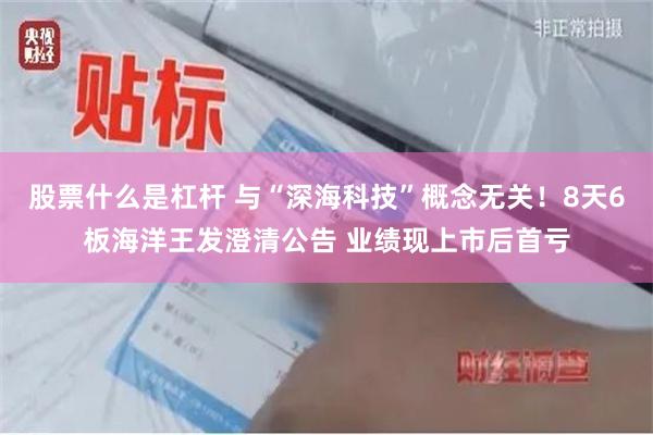 股票什么是杠杆 与“深海科技”概念无关！8天6板海洋王发澄清公告 业绩现上市后首亏