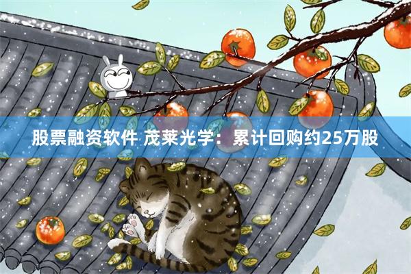 股票融资软件 茂莱光学：累计回购约25万股