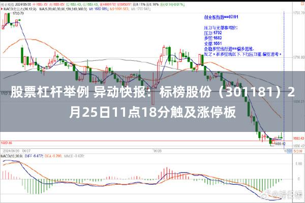 股票杠杆举例 异动快报：标榜股份（301181）2月25日11点18分触及涨停板