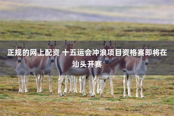 正规的网上配资 十五运会冲浪项目资格赛即将在汕头开赛