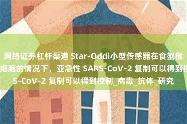 网络证劵杠杆渠道 Star-Oddi小型传感器在食蟹猴中，在没有 CD8+ T 细胞的情况下，亚急性 SARS-CoV-2 复制可以得到控制_病毒_抗体_研究