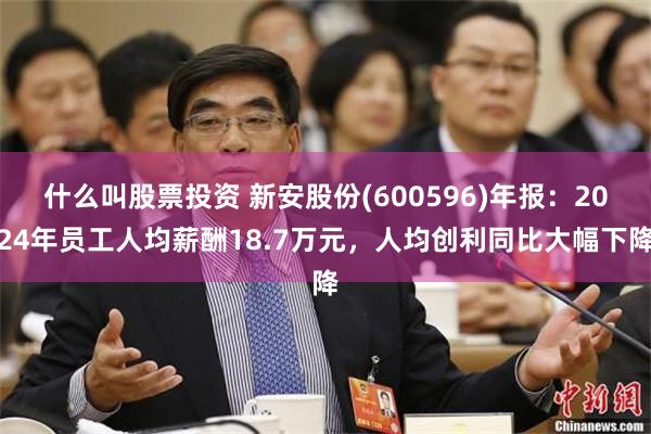 什么叫股票投资 新安股份(600596)年报：2024年员工人均薪酬18.7万元，人均创利同比大幅下降