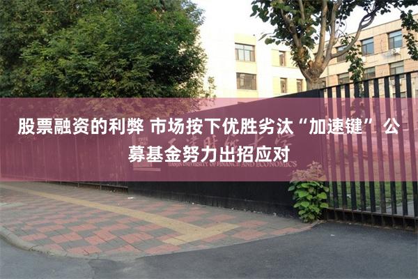 股票融资的利弊 市场按下优胜劣汰“加速键” 公募基金努力出招应对
