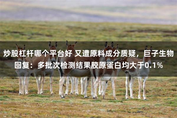 炒股杠杆哪个平台好 又遭原料成分质疑，巨子生物回复：多批次检测结果胶原蛋白均大于0.1%