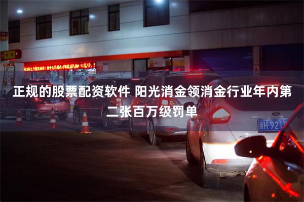 正规的股票配资软件 阳光消金领消金行业年内第二张百万级罚单