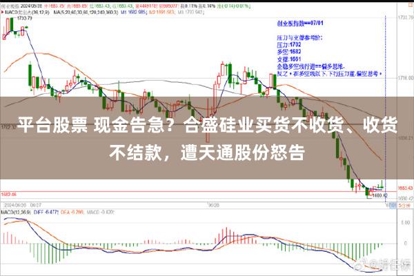 平台股票 现金告急？合盛硅业买货不收货、收货不结款，遭天通股份怒告