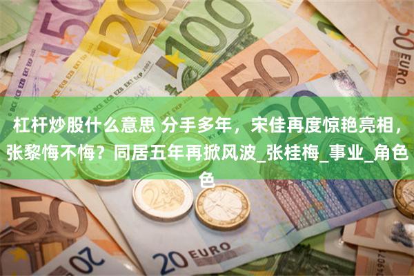 杠杆炒股什么意思 分手多年，宋佳再度惊艳亮相，张黎悔不悔？同居五年再掀风波_张桂梅_事业_角色
