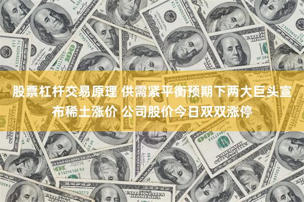 股票杠杆交易原理 供需紧平衡预期下两大巨头宣布稀土涨价 公司股价今日双双涨停