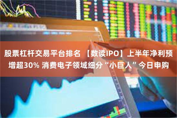 股票杠杆交易平台排名 【数读IPO】上半年净利预增超30% 消费电子领域细分“小巨人”今日申购
