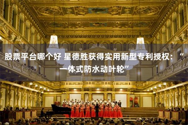 股票平台哪个好 星德胜获得实用新型专利授权:“一体式防水动叶轮”