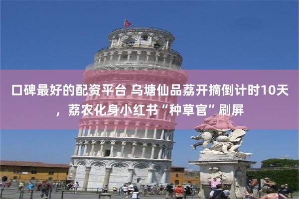 口碑最好的配资平台 乌塘仙品荔开摘倒计时10天，荔农化身小红书“种草官”刷屏