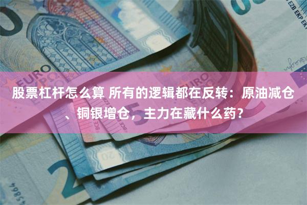 股票杠杆怎么算 所有的逻辑都在反转：原油减仓、铜银增仓，主力在藏什么药？