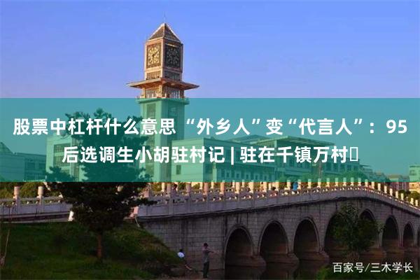 股票中杠杆什么意思 “外乡人”变“代言人”：95后选调生小胡驻村记 | 驻在千镇万村⑰
