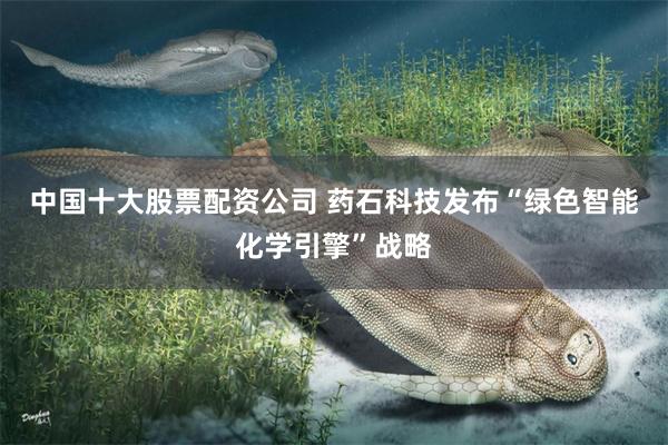 中国十大股票配资公司 药石科技发布“绿色智能化学引擎”战略