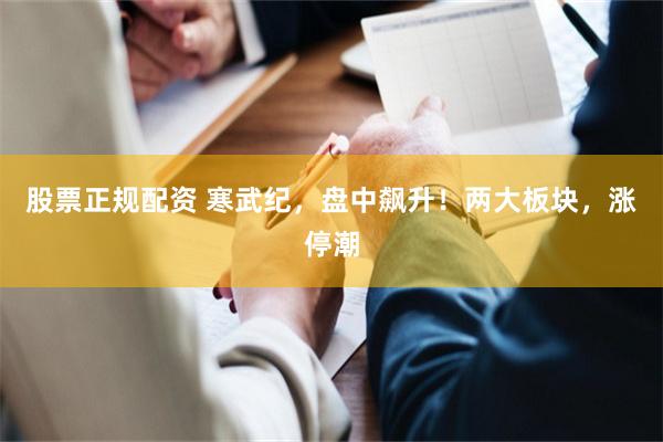 股票正规配资 寒武纪,盘中飙升!两大板块,涨停潮