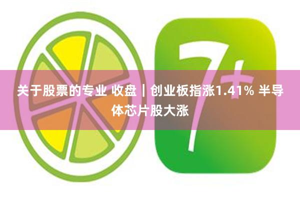关于股票的专业 收盘｜创业板指涨1.41% 半导体芯片股大涨