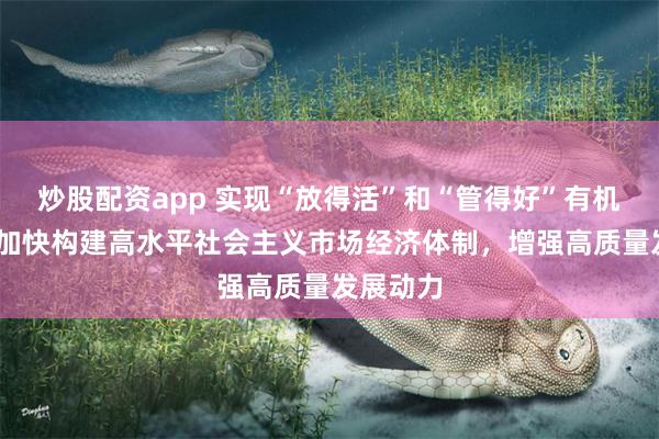 炒股配资app 实现“放得活”和“管得好”有机统一——加快构建高水平社会主义市场经济体制，增强高质量发展动力
