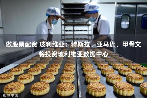 做股票配资 玻利维亚：特斯拉、亚马逊、甲骨文将投资玻利维亚数据中心