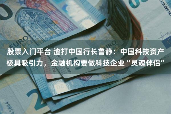 股票入门平台 渣打中国行长鲁静：中国科技资产极具吸引力，金融机构要做科技企业“灵魂伴侣”