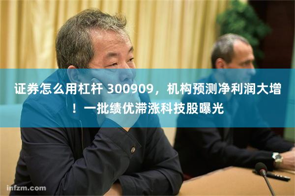 证券怎么用杠杆 300909，机构预测净利润大增！一批绩优滞涨科技股曝光
