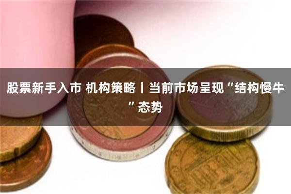 股票新手入市 机构策略丨当前市场呈现“结构慢牛”态势