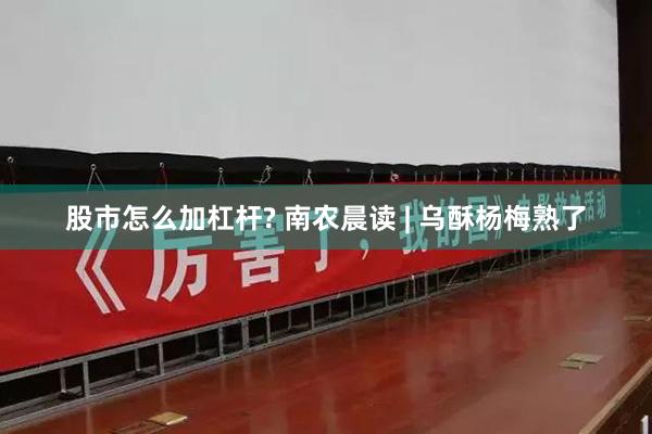 股市怎么加杠杆? 南农晨读 | 乌酥杨梅熟了