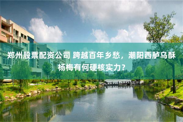 郑州股票配资公司 跨越百年乡愁，潮阳西胪乌酥杨梅有何硬核实力？