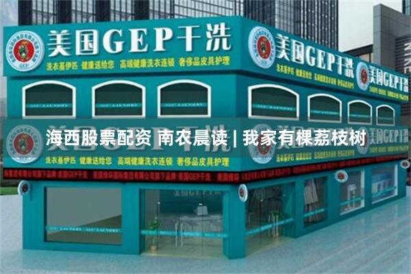 海西股票配资 南农晨读 | 我家有棵荔枝树