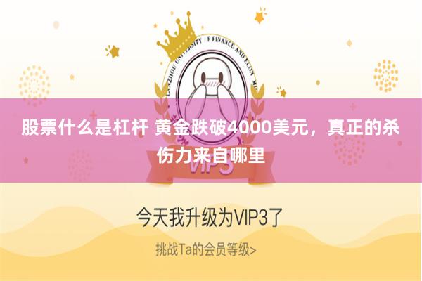 股票什么是杠杆 黄金跌破4000美元,真正的杀伤力来自哪里
