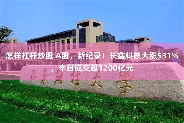 怎样杠杆炒股 A股，新纪录！长鑫科技大涨531%，半日成交超1200亿元