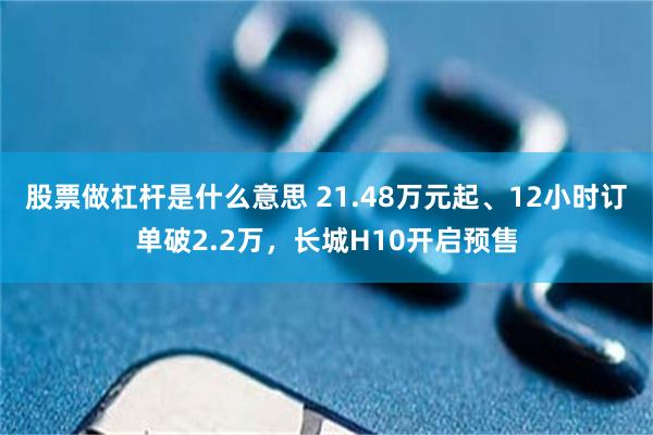 股票做杠杆是什么意思 21.48万元起、12小时订单破2.2万，长城H10开启预售