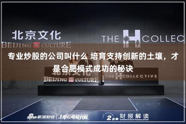 专业炒股的公司叫什么 培育支持创新的土壤，才是合肥模式成功的秘诀