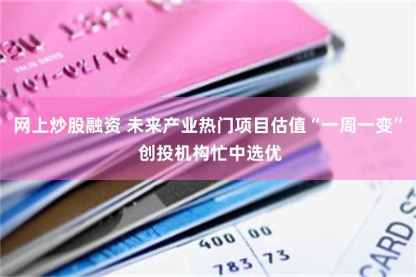 网上炒股融资 未来产业热门项目估值“一周一变” 创投机构忙中选优