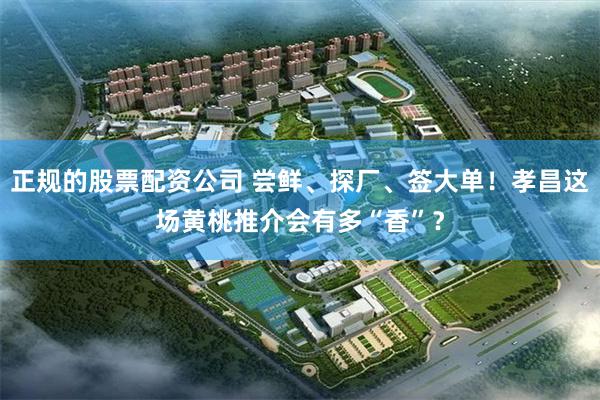 正规的股票配资公司 尝鲜、探厂、签大单！孝昌这场黄桃推介会有多“香”？
