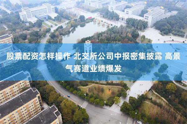 股票配资怎样操作 北交所公司中报密集披露 高景气赛道业绩爆发