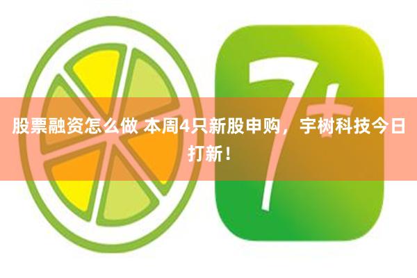 股票融资怎么做 本周4只新股申购，宇树科技今日打新！