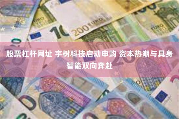 股票杠杆网址 宇树科技启动申购 资本热潮与具身智能双向奔赴