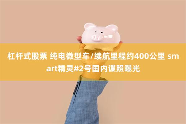 杠杆式股票 纯电微型车/续航里程约400公里 smart精灵#2号国内谍照曝光