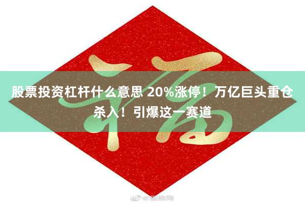 股票投资杠杆什么意思 20%涨停！万亿巨头重仓杀入！引爆这一赛道