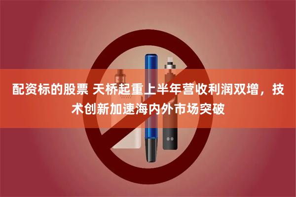 配资标的股票 天桥起重上半年营收利润双增，技术创新加速海内外市场突破