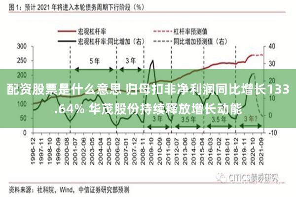 配资股票是什么意思 归母扣非净利润同比增长133.64% 华茂股份持续释放增长动能