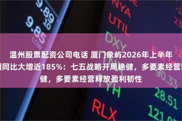 温州股票配资公司电话 厦门象屿2026年上半年扣非归母净利同比大增近185%：七五战略开局稳健，多要素经营释放盈利韧性